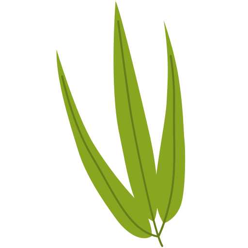 Broad Leaf